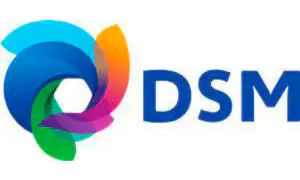 Logo de Dsm 